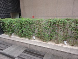 DSC00173