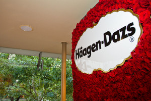 Haagen-Dazs (46)